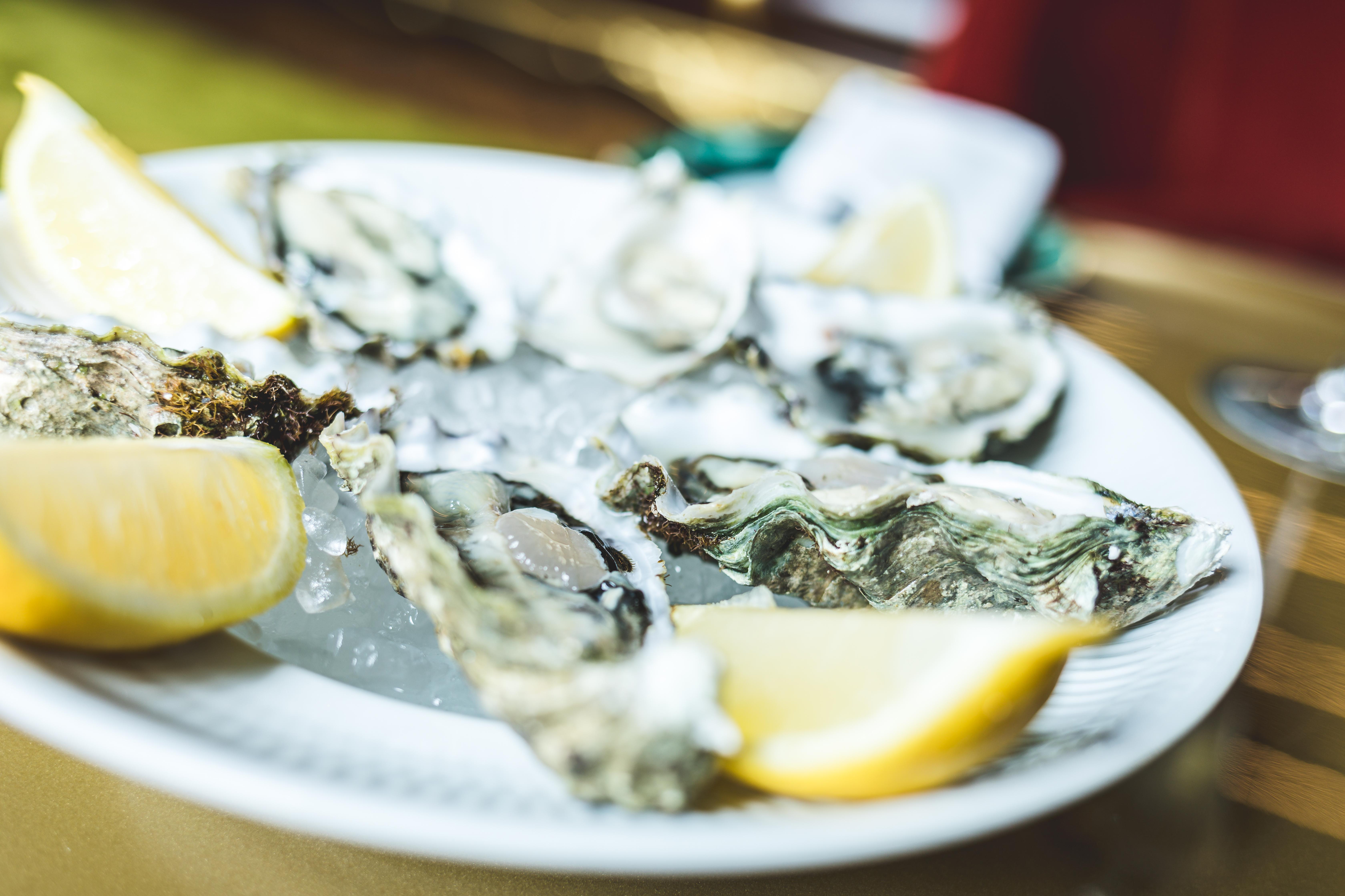 Vila Foz Hotel & Spa - Member Of Design Hotels Porto Ngoại thất bức ảnh Oysters on ice with lemon